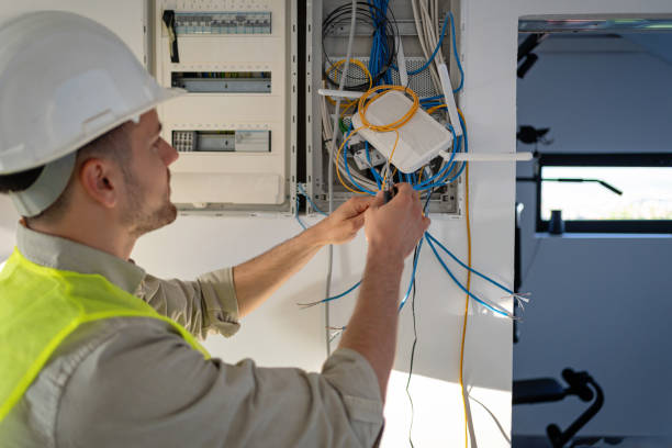 Best Electric Panel Repair  in Puxico, MO